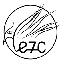 Settecolori edizioni: editoria di qualità